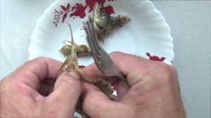 Как быстро, просто и более эффективно разделать вяленую рыбу (таранку)