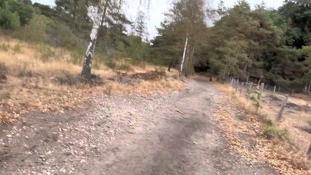 Mookerheide .Куда я еду? Отель для насекомых. Хозяин собачки . Что цветёт в августе-сентябре? смотреть онлайн