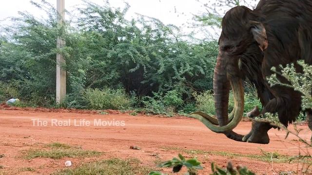 Woolly mammoth Vs kids boy Short Movie | Mammoth Elephant 3d Animals Scary Boy |The Real Life Movie смотреть онлайн