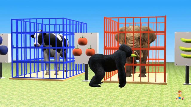 Learn Colors With Animal Wrong Fruits Colors Gorilla And Cages ASL KID'S CHANNEL