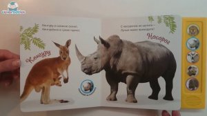 Азбукварик. Саванна (Веселые голоса). Видео-обзор