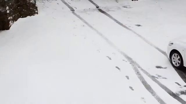 PEUGEOT 301 обзор