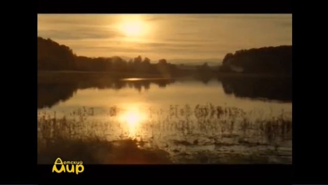Заставка В Гостях У Сказки(Детский Мир 28.07.2019 17:05 МСК). смотреть онлайн