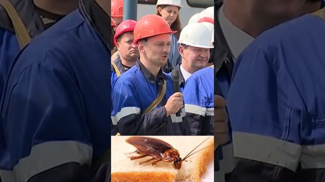 Усатый таракан прощай( смотреть онлайн