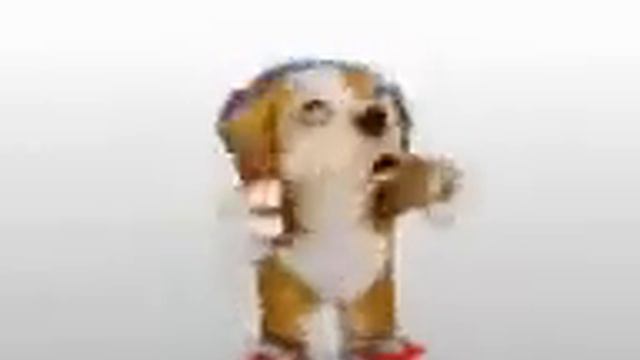 Собака Чакаррон (кринге) смотреть онлайн