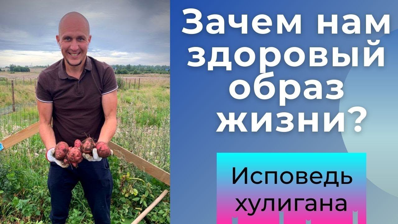 Зачем нам здоровый образ жизни? || Исповедь хулигана #ЗОЖ смотреть онлайн