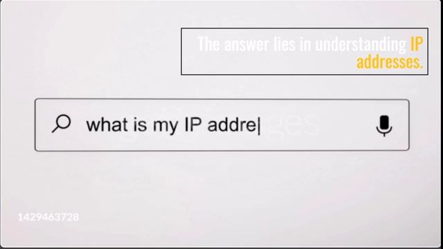 What is a website and What is an IP address смотреть онлайн