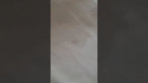 Выводим пятна марганцовки с футболки.