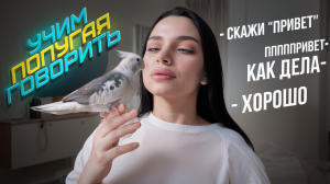 УЧИМ ПОПУГАЯ ГОВОРИТЬ
