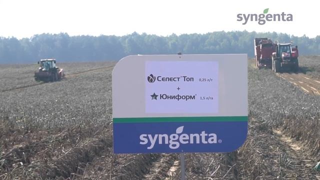 Syngenta сняла ролик о Фортуне. Приятный подарок.