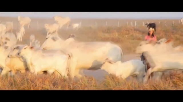 Venezuela Tourism: Meet Venezuela