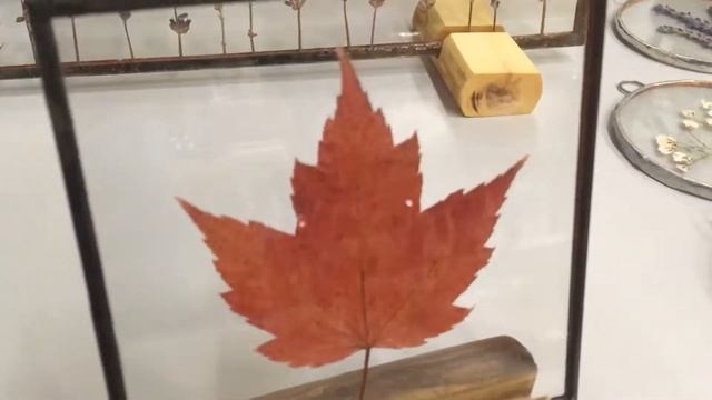 Потрясающий лист клёна на подставке смотреть онлайн