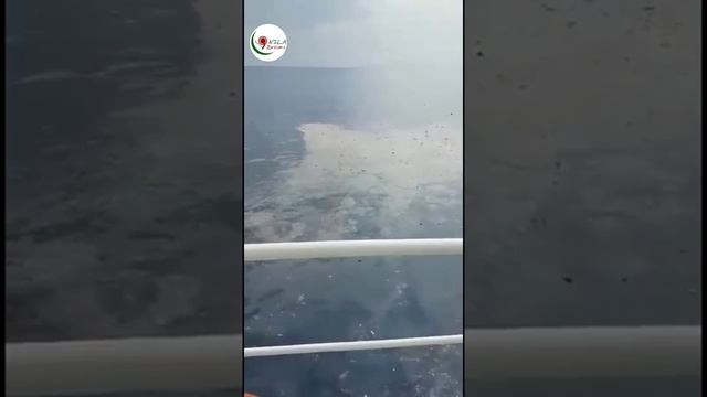 Indonesia Lion Air Flight Last Minute Video : AirFlight with 189 passengers crashed into Java sea смотреть онлайн
