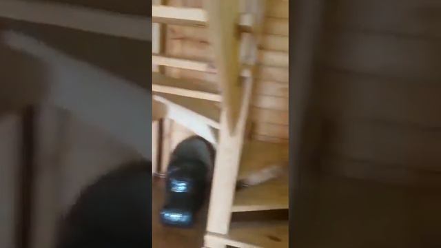 Помогу купить/продать/снять/сдать недвижимость в городе Сочи +79180024085 Светлана смотреть онлайн