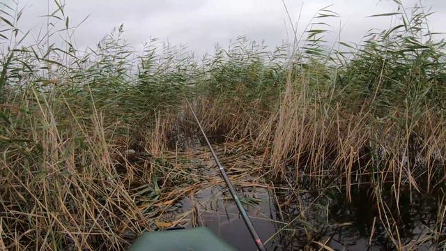 Ловля карася и смех чайки . смотреть онлайн