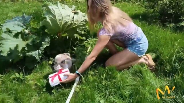 С Днём рождения, Лена! смотреть онлайн