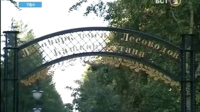 Лесное царство для отдыха горожан смотреть онлайн
