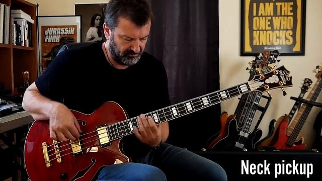 D'Angelico Excel Bass test смотреть онлайн