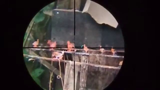 JAVA PRO_Tes akurasi jarak 41m dan 33m target metsil смотреть онлайн