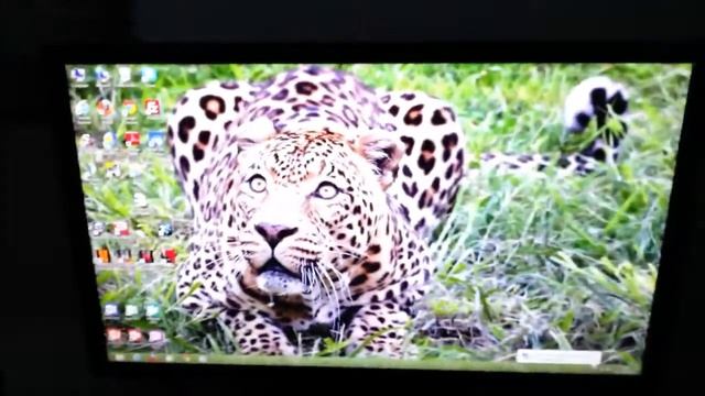 BenQ XL2411T Viewing Angles смотреть онлайн