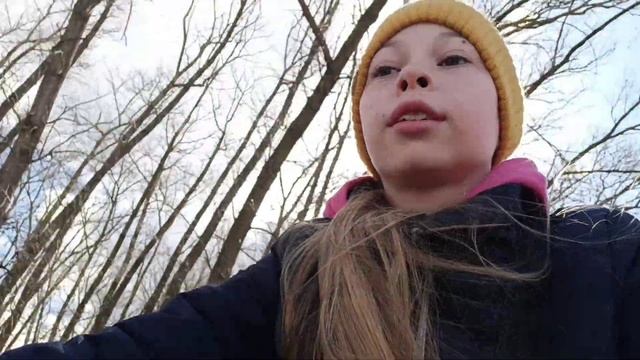 ПОЕХАЛА КАТАТЬСЯ, В ИТОГЕ ПОКОРМИЛА КОШКУ. О собаках. МУСОР В ЛЕСУ?#кошка #cat смотреть онлайн