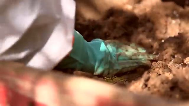 FBI Marks 20 Years of Training at 'Body Farm' смотреть онлайн