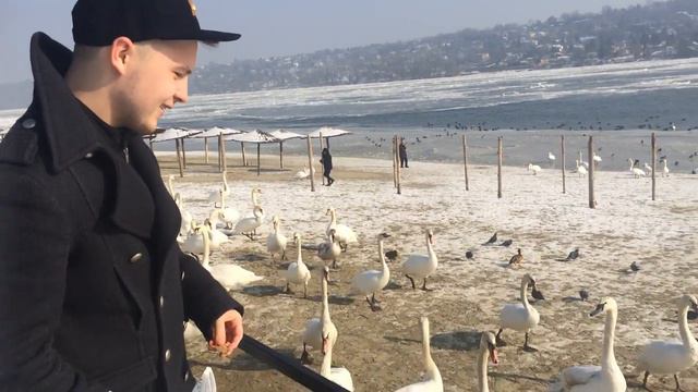 Наедине с природой.Сербия-2017 смотреть онлайн