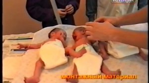 жизнь вне орхидей 16. У меня сегодня родилась ТРОЙНЯ! Три СЫНА!