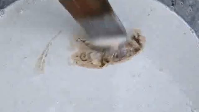 06.11.2013. НЭП. Цветы_побелка смотреть онлайн