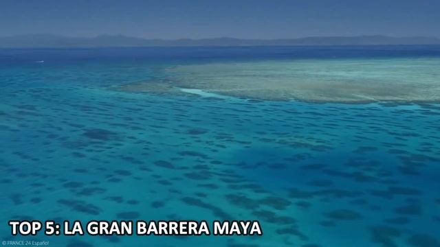 10 Curiosidades del Mar Caribe Que No Sabias🌊 смотреть онлайн