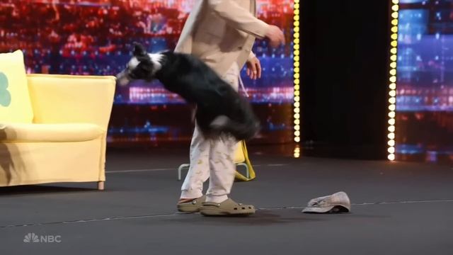 Hurricane The Dog is a New Star on AGT 2023 смотреть онлайн