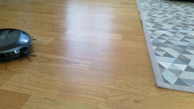 Miele Scout RX2 Carpet смотреть онлайн