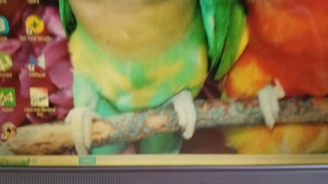 Ноутбук Dell XPS M1210 внешний вид смотреть онлайн