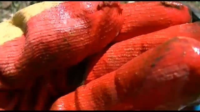 Отличные находки, коп по старине, кольцевой пятак смотреть онлайн