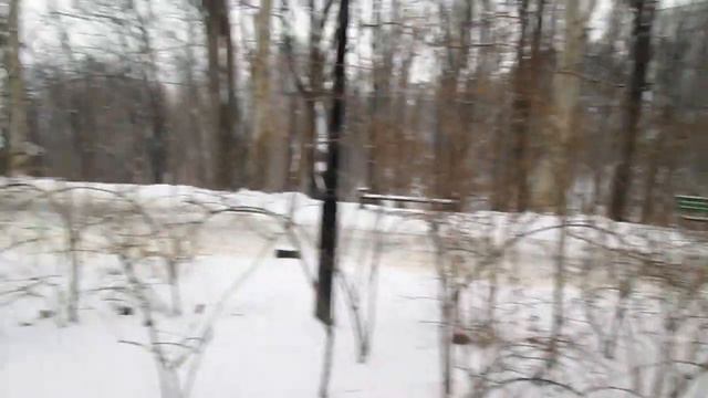 ВСТРЕТИЛ МАРМОКА В КИШИНЕВЕ\ МАРМОК \Илья Лис/ смотреть онлайн