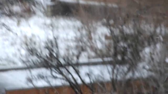 3.12.2013 первый снег в Ростове-на-Дону(начало) смотреть онлайн