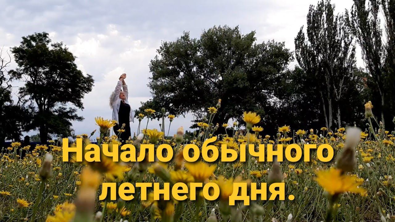 Начало обычного летнего дня. Делай с нами! Делай как мы! Делай лучше нас! смотреть онлайн