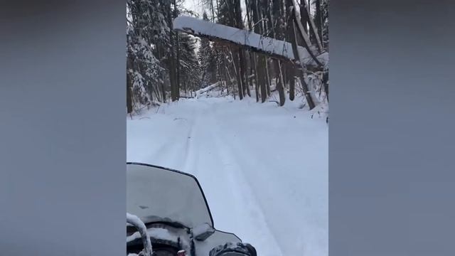 Покатушки на снегоходе в лесу!!! 14.02.2021 г ? смотреть онлайн