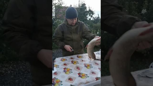 Видео отзыв клиента о ноже "Рыбак" из порошковой стали Elmax от компании "Гепард" г.Ворсма смотреть онлайн