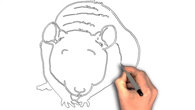 How to draw AMONG US Mouse Color and Minnie Mouse By Prel Sor смотреть онлайн