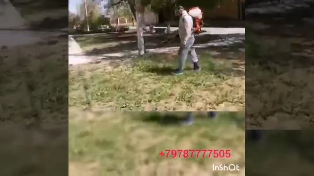 Акарицидная обработка от клещей в селе Укромное