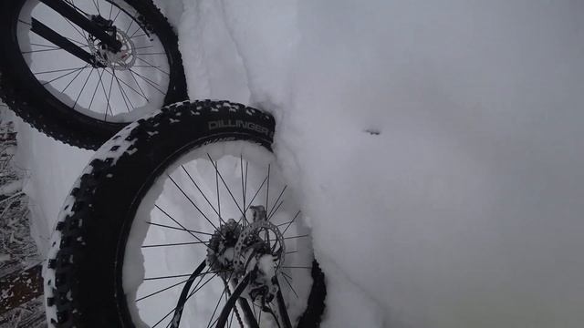 Покатуха по лесам