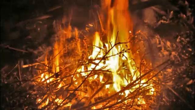 Ева Власова- Недолюбили#Надежда Л смотреть онлайн