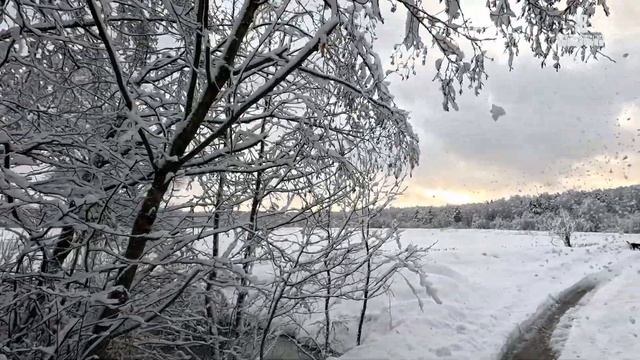 ЗИМНЯЯ СКАЗКА . ПРОГУЛКА ПО ДЕРЕВНЕ . ЖКВ Саморучка смотреть онлайн