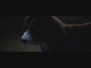 Муму-2 или "Не трогайте собачку!".wmv смотреть онлайн