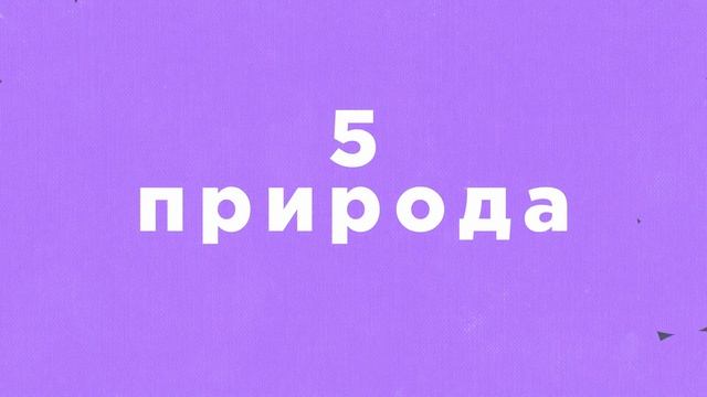 Кому не стоит заводить собаку смотреть онлайн