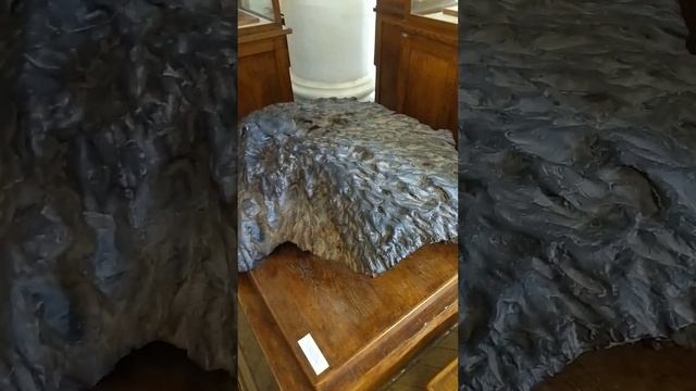 Сихотэ-Алинский железный метеорит смотреть онлайн