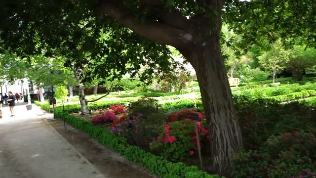 100 Мадрид Ботанический Сад смотреть онлайн