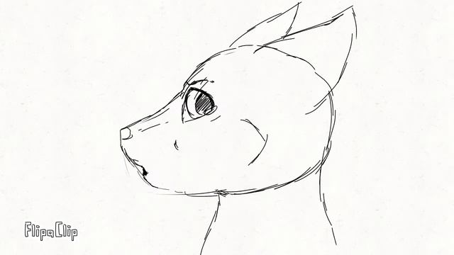 Furry animation sketch : why? смотреть онлайн