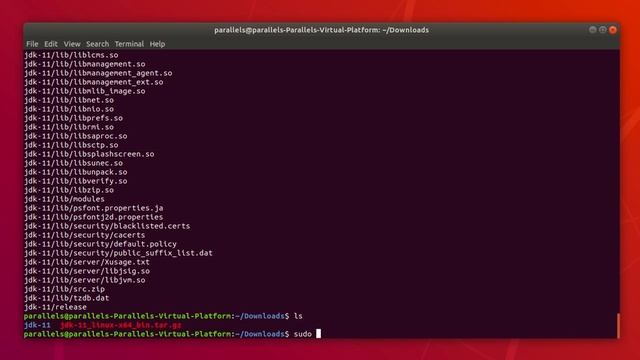 Java Development Kit: How to Install And Setup Java JDK 11 On Linux смотреть онлайн